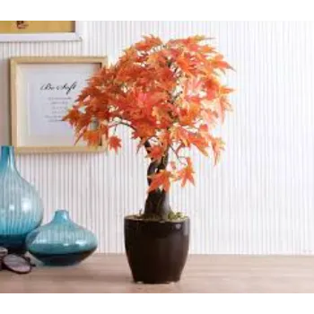 Super Artificial plant